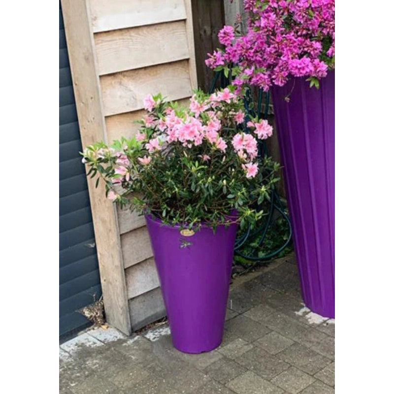 Ashwell Garden Planter In Purple