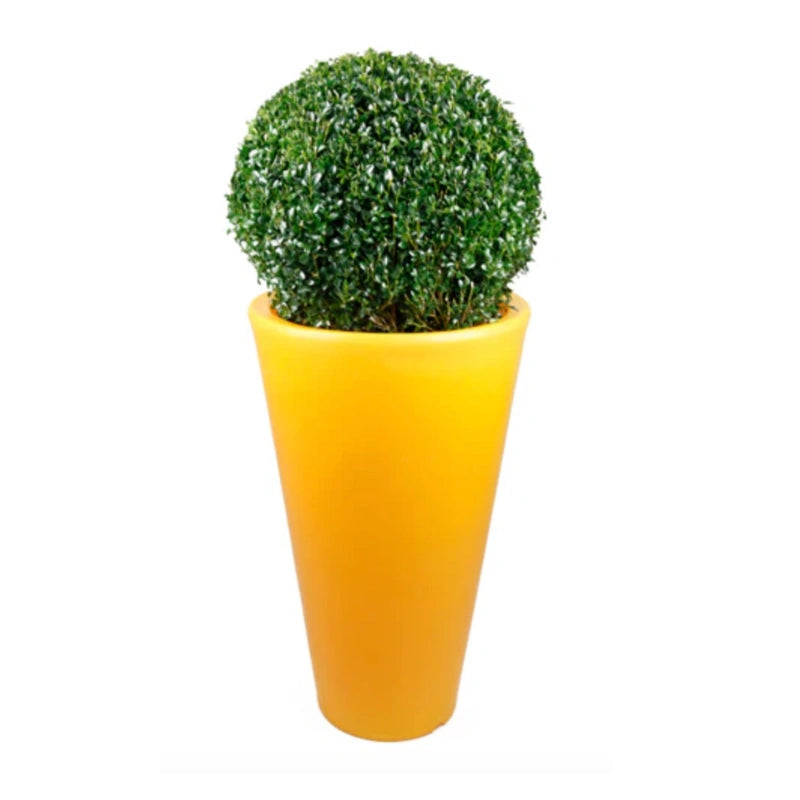 Ashwell Garden Planter In Yellow