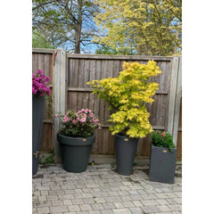 Ashwell Garden Planter Millstone