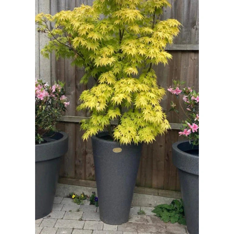 Ashwell Garden Planter Millstone