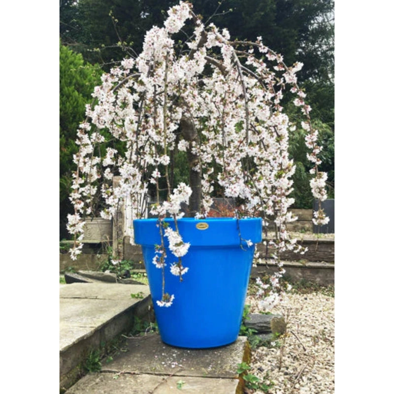 Classic Garden Planter In Blue