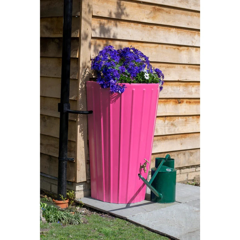 Mini Cosmo Water Butt Planter in Pink