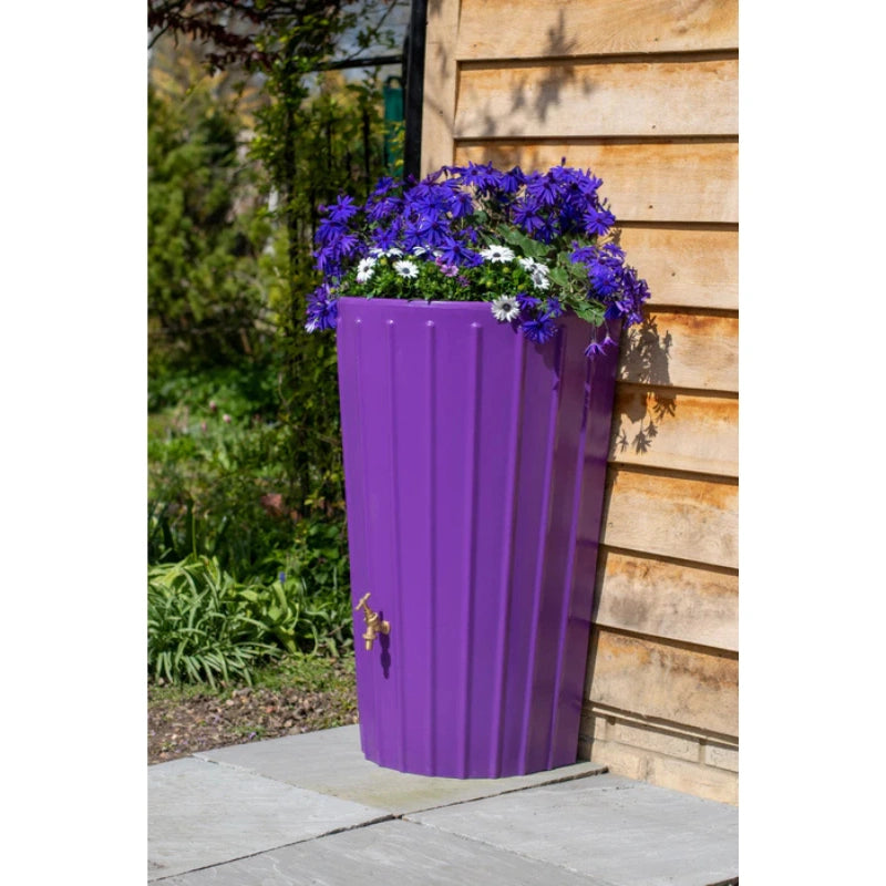Mini Cosmo Water Butt Planter in Purple